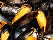 Moules marinieres thermomix