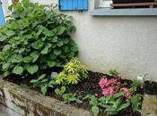 Sous fenêtre l'arrière-cuisine, 2012