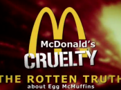 vérité térrifiante l’Egg McMuffins McDonald’s