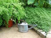 Clic-clac 2*32 Mais font syndicats