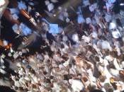 Financer études universitaires sans débourser SEUL DOLLAR!