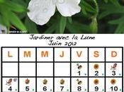 Jardiner avec Lune mois Juin 2012