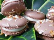 Macarons chocolat noix coco