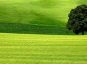 Mise ligne site internet cabinet Gossement avocats