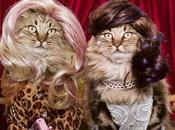 INSOLITE-WEB Voici images insolites trouvées l...