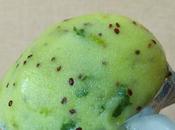 Sorbet kiwi-lime-jalapeno