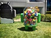 Google statut Jelly Bean dans place (VIDEO)