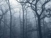 Exposition lauréates concours Découverte 2012