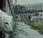 ours polaire plein Londres