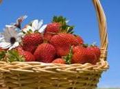 Santé CARDIOVASCULAIRE: fraises, booster antioxydant pour réduire cholestérol SFRRI
