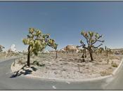 Street View vous permet visiter parcs nationaux californiens