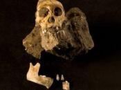 Karabo: découverte d’un squelette «pré-humain» unique
