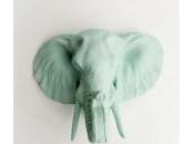 Pends aussi cerf