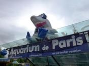 L’Aquarium Paris nocturne…