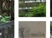 Time Mandarin Oriental