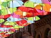 Umbrellas Serie
