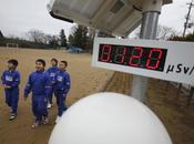 Japon: niveau radioactivité record poissons