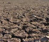 Les sécheresses, les famines et les marchés