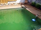 Avec canicule baignades répétées, filtration contribue pour qualité d'une piscine !...
