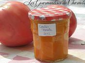 Coulis tomate thermomix