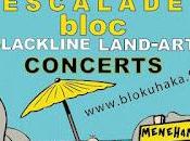 Festival BLOKUAKA Kerlouan Cédric Calmels