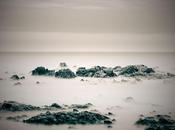 Nicolas Genette présente sept nouvelles photographies série Césure