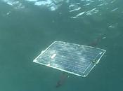 Mola, poisson-robot solaire