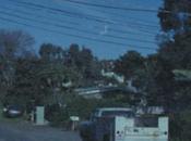 Tops Diamond Look Easy Friends