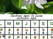 Jardiner avec Lune mois d'Octobre 2012