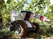 V.I.N robot vigneron