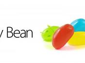 Jelly Bean Asus mettent jour leurs terminaux