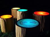 Tree Ring Lights Judson Beaumont