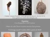 Exposition collective Confort Etranges Galerie Agama