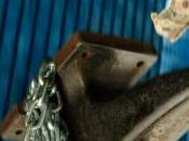 investisseurs perdants