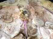 Côtes veau crème champignons