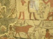 Salle vitrine peintures mastaba metchetchi fragment 25515 joueuses harpe (une introduction)