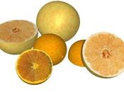Recette shampoing naturel anti-poux l’huile essentielle citron