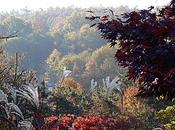 Quatre parcs nationaux coréens visiter automne