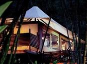 expérience vivre deux Four Seasons Tented Camp Golden Triangle…