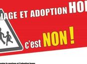 L’adoption mariage homo c’est