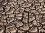 Faites vous plumer 11.11.11 pour "justice climatique".