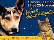 FONDATION ASSISTANCE ANIMAUX Participez Noël animaux abandonnés novembre prochain Porte Versailles (75015 Paris)