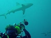 Comment améliorer rentabilité eCommerce grâce logistique [KeKoli]