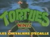 reboot Tortues Ninja pour 2014