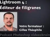 Editeur filigranes dans Lightroom