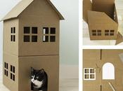 Créer maison carton pour chats