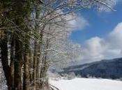 Projet nocturne d’un poème d’hiver écrire lendemain matin