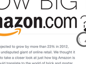 Infographie Amazon 2012