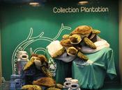 Collections Boutiques 2012