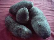 Santé l’Igname, Soirée l’Igname vendredi décembre 2012